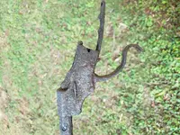 20190901_090452.webp