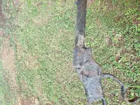 20190901_090405.webp