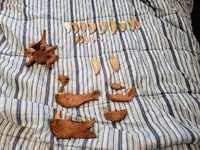 20190707_173035.webp
