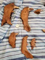 20190707_173207.webp
