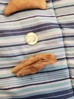 20190707_173259.webp