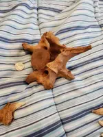 20190707_173224.webp