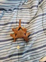 20190707_173237.webp