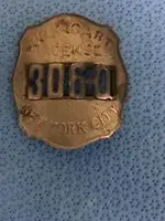 junk badge.webp