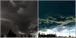 storm (2).webp