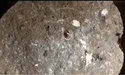 Strukture of hondrit meteorite.webp