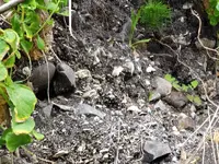 20190704_163139.webp