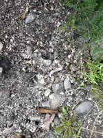 20190704_165349.webp