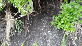 20190704_173340.webp