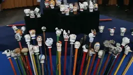 img00007049-crop-c0-5__0-5-676x380.webp