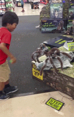 b8b5fd1d2cd8130c570de9eb03c347e2.gif