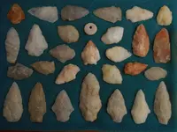 DSCN1698.webp