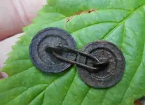 DSCN3875.webp
