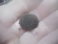 DSCN3867.webp