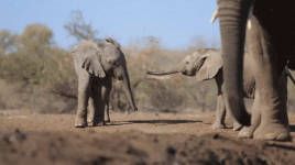 91ba360d781572feba03d37770a9573d.gif 91ba360d781572feba03d37770a9573d.gif