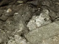 20190801_193950-ccfopt.webp