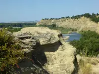 trip 082119 5.webp