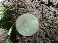 20190724_103811.webp