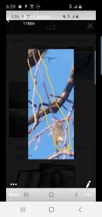 Screenshot_20190724-183956_Messenger.webp