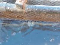 20190716_102420.webp