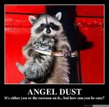 angel-dust-8190-01.webp
