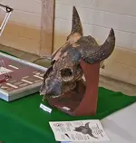 Bison_stand.webp