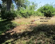 finds 8-31-19 002.webp