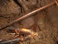 DSCN3967.webp