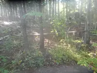 DSCN3973.webp