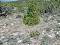 photo's #a 003.webp photo's #a 003.webp