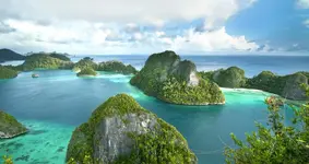 secrete hideaway.webp