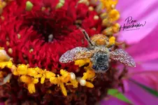 00888-1.webp