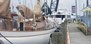 20190717_073341.webp