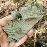 20190830_163656.webp
