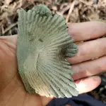 20190830_163704.webp