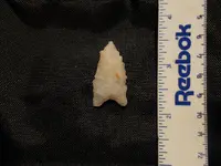 DSCN1501.webp