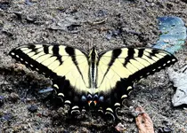 K1600_DSCN6375_InPixio.webp