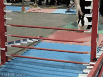 0G3l5u6r_2019825105712.gif