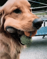 H7MYQVp0_2019825001054.gif