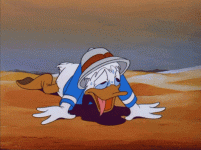 uNRmkef5_2019824113805.gif