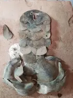 20190811_123940.webp