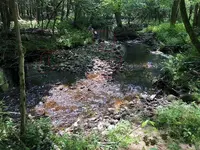 20190707_152849484_iOS.webp