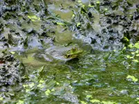 bike 081419 2.webp