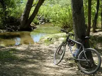 bike 081419 3.webp