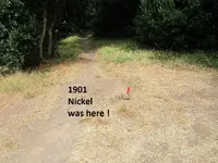 Finds 8-3-19 006.webp