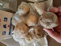 hammerstones.webp