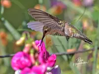 00444_edited-1-1.webp