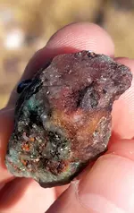 20190902_072712.webp