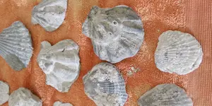 20190724_104558.webp