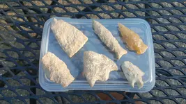 20190911_173719.webp